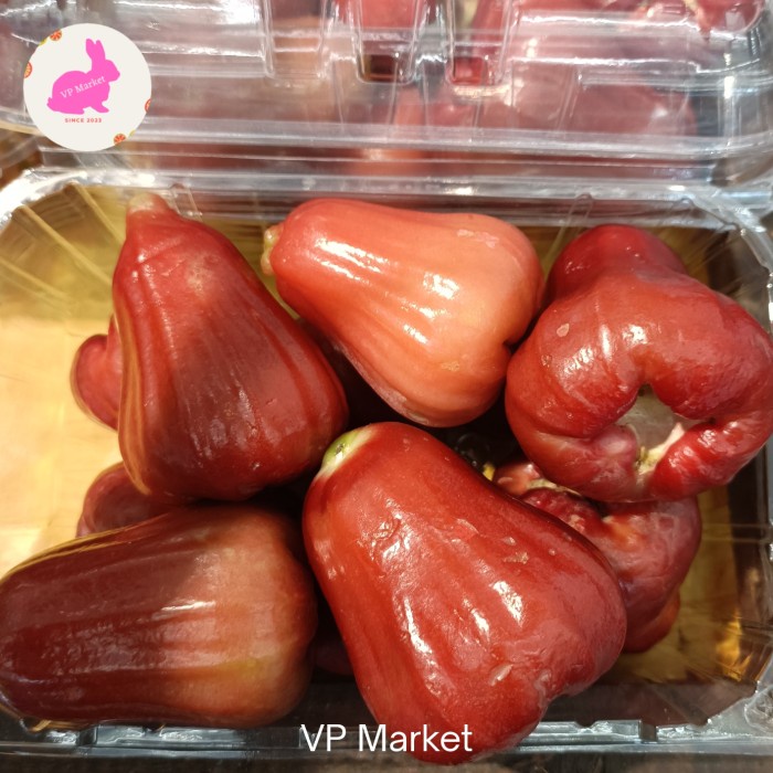 

Jambu Air Bangkok Merah Manis | Jambu Air Bangkok Daging Tebal | Pack