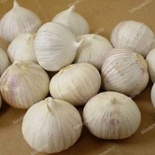 

Bawang Lanang / Tunggal