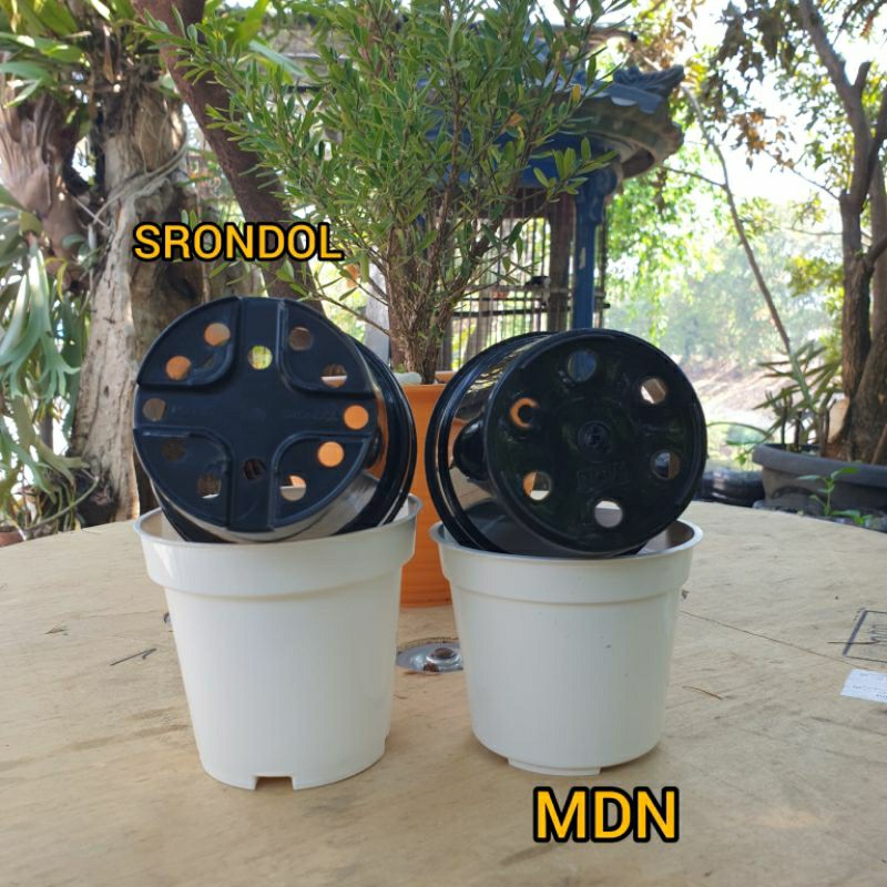 (12 pcs) LUSINAN BASIC 10 (10cm) MDN / SRONDOL : Pot bunga plastik kecil biasa polos hitam putih pot semai murah