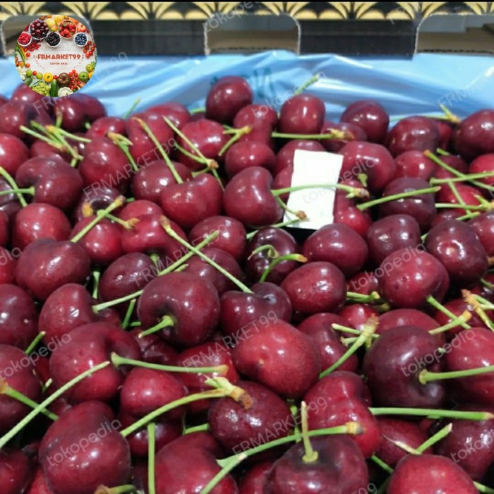 Cherry Red Fresh Import | Buah Cherry Merah Super | Buah Ceri 1 Kg