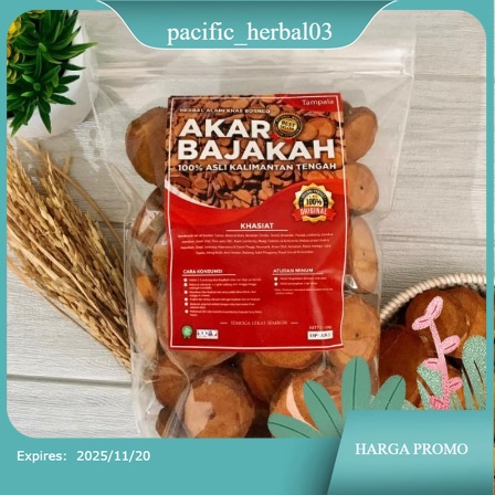 

Akar Kayu BAJAKAH TAMPALA MERAH Siap Seduh Obat Tumor dan Kanker (100% ORIGINAL) Asli Kalimantan