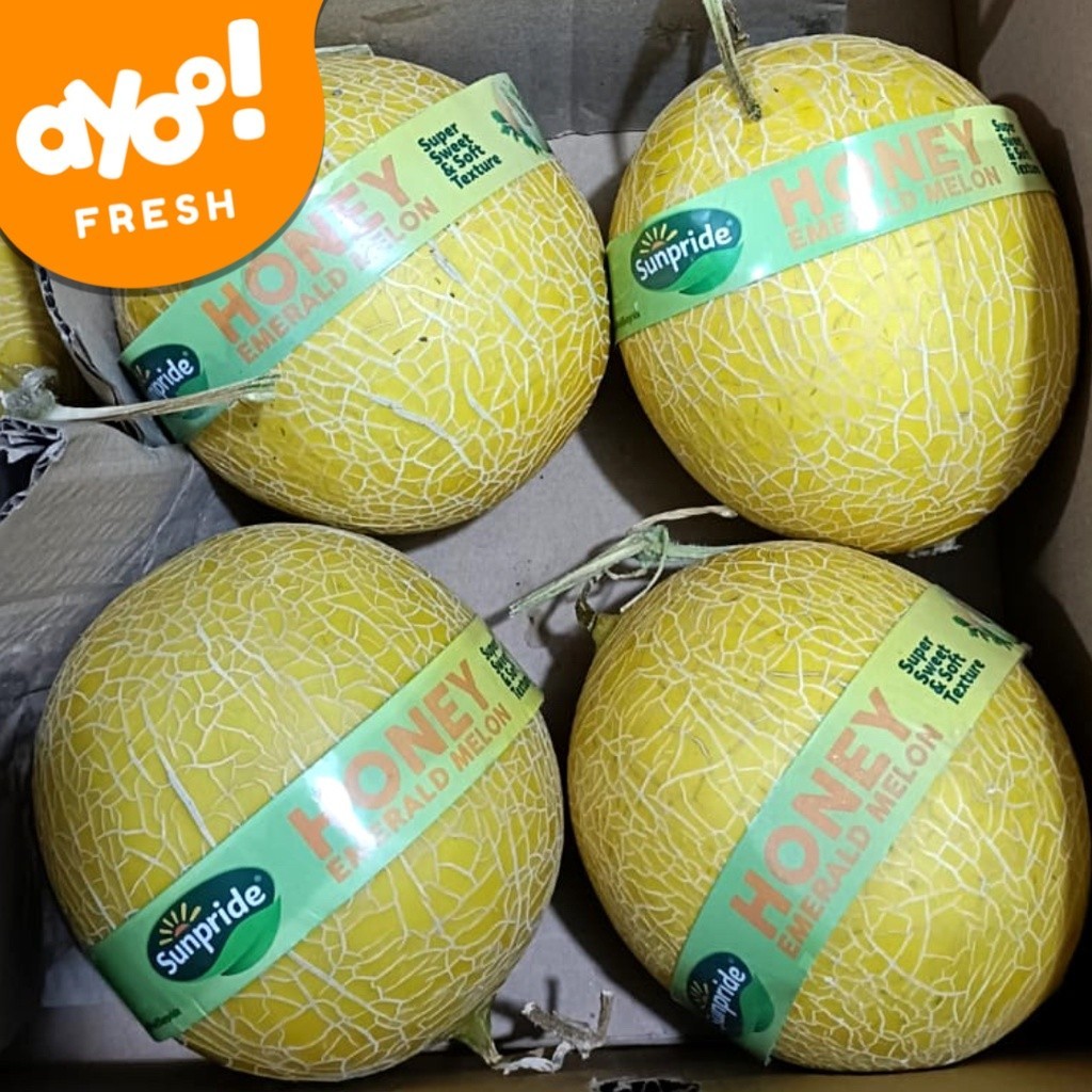

Honey Emerald Melon Medium 1,2 Kg Per Buah