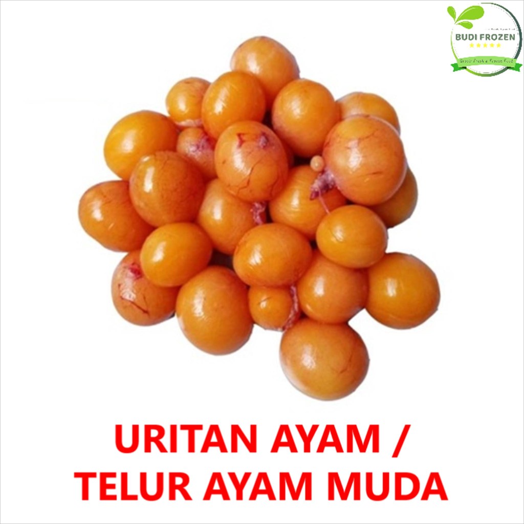 

TELUR MUDA / URITAN / TELUR AYAM MUDA / BAKAL TELUR AYAM / 500 GR / 1 KG (Di Timbang)