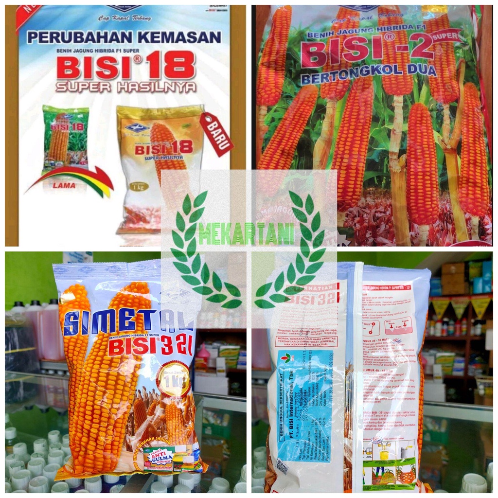 Benih jagung simetal BISI 18 1kg bisi 321 simetal 1kg bisi 2 tongkol 2 /BENIH JAGUNG HIBRIDA SIMETAL