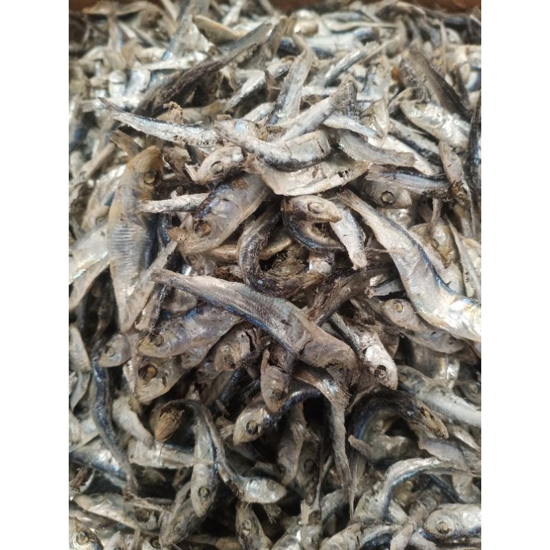 

PROMO/ Ikan Asin Lemet Rebus 1 kg Fresh.