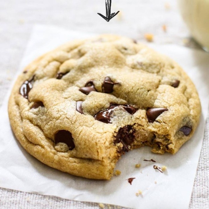 

Bisa COD Murmer Premix Vanilla Soft Cookies Tepung Instant Kue Kering Vanila 500 Gram