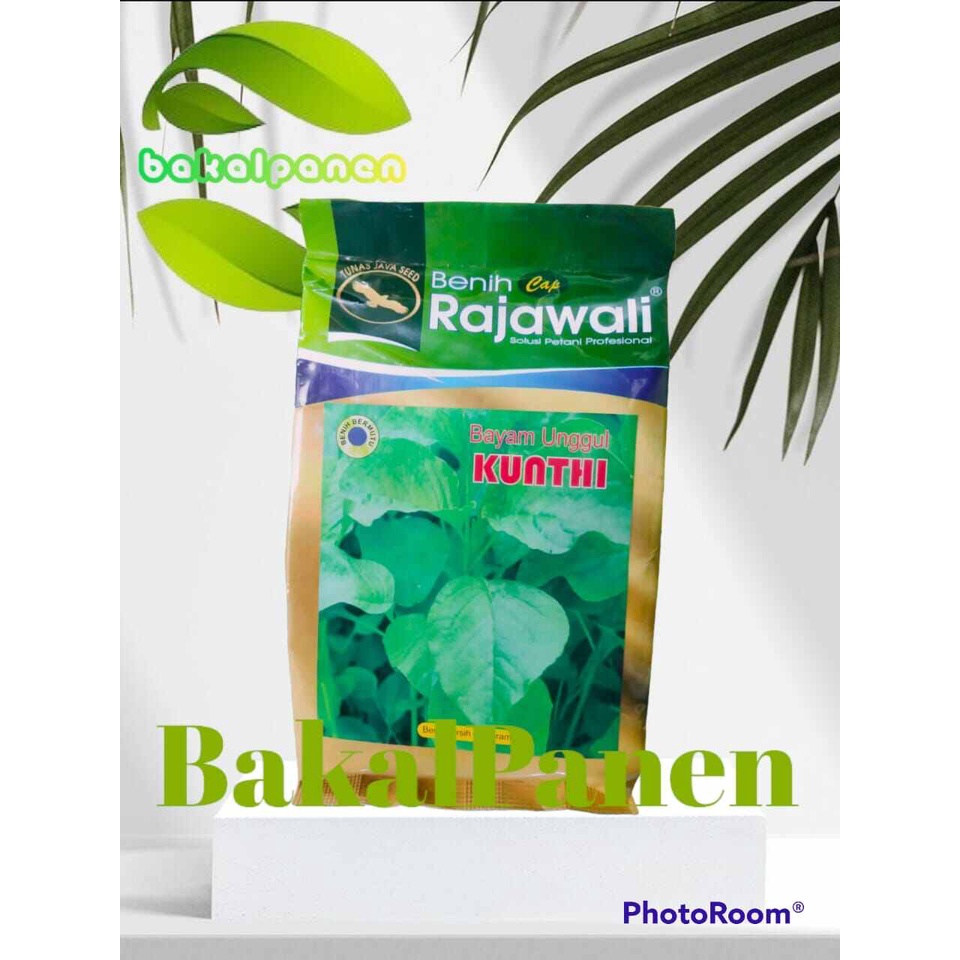 Benih bibit bayam cap Rajawali KUNTHI