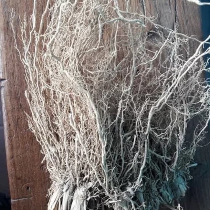 

Akar Wangi Kering / Herbal Pengharum (1kg)