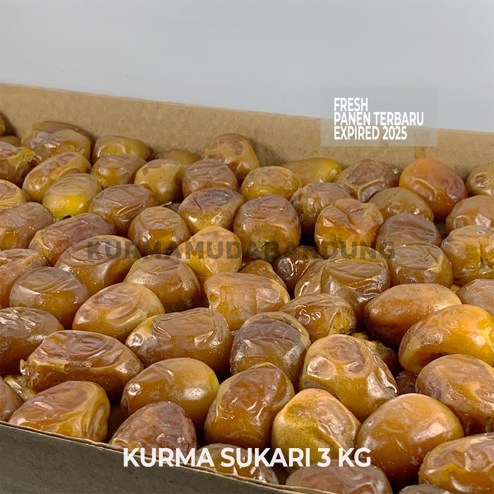 

KURMA RAJA SUKARI AL QASSIM ASLI DUS BASAH GROSIR PREMIUM 3 KG