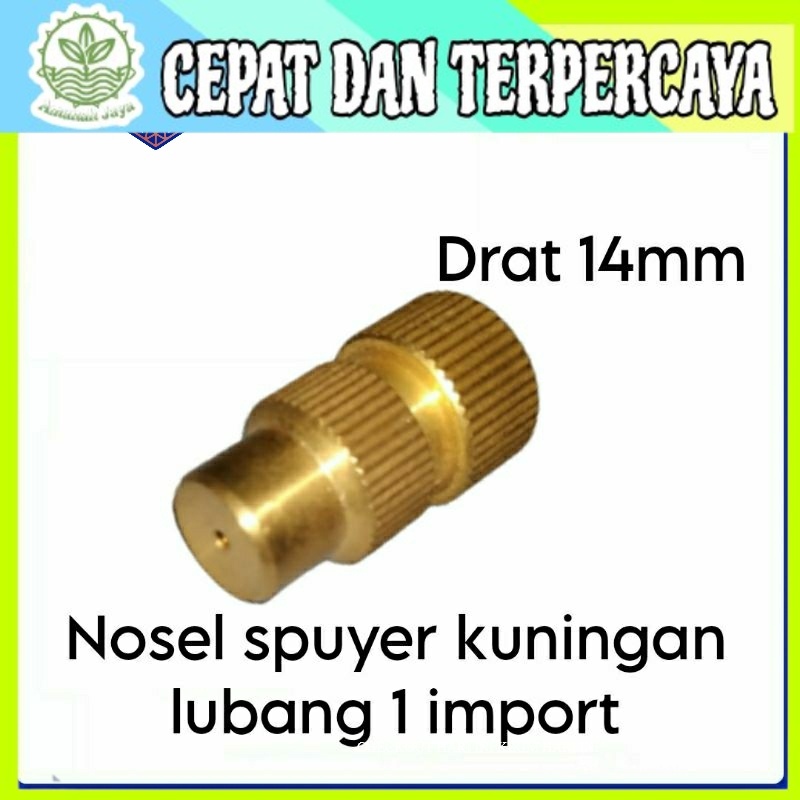NOSEL NOZZLE SPUYER SPRAYER LUBANG 1 KUNINGAN IMPORT/ NOZEL KUNINGAN LUBANG 1 IMPORT