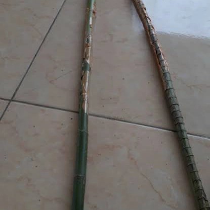 BATANG PALEM WAREGU BAHAN ALAT PANCING/KERAJINAN 160cm