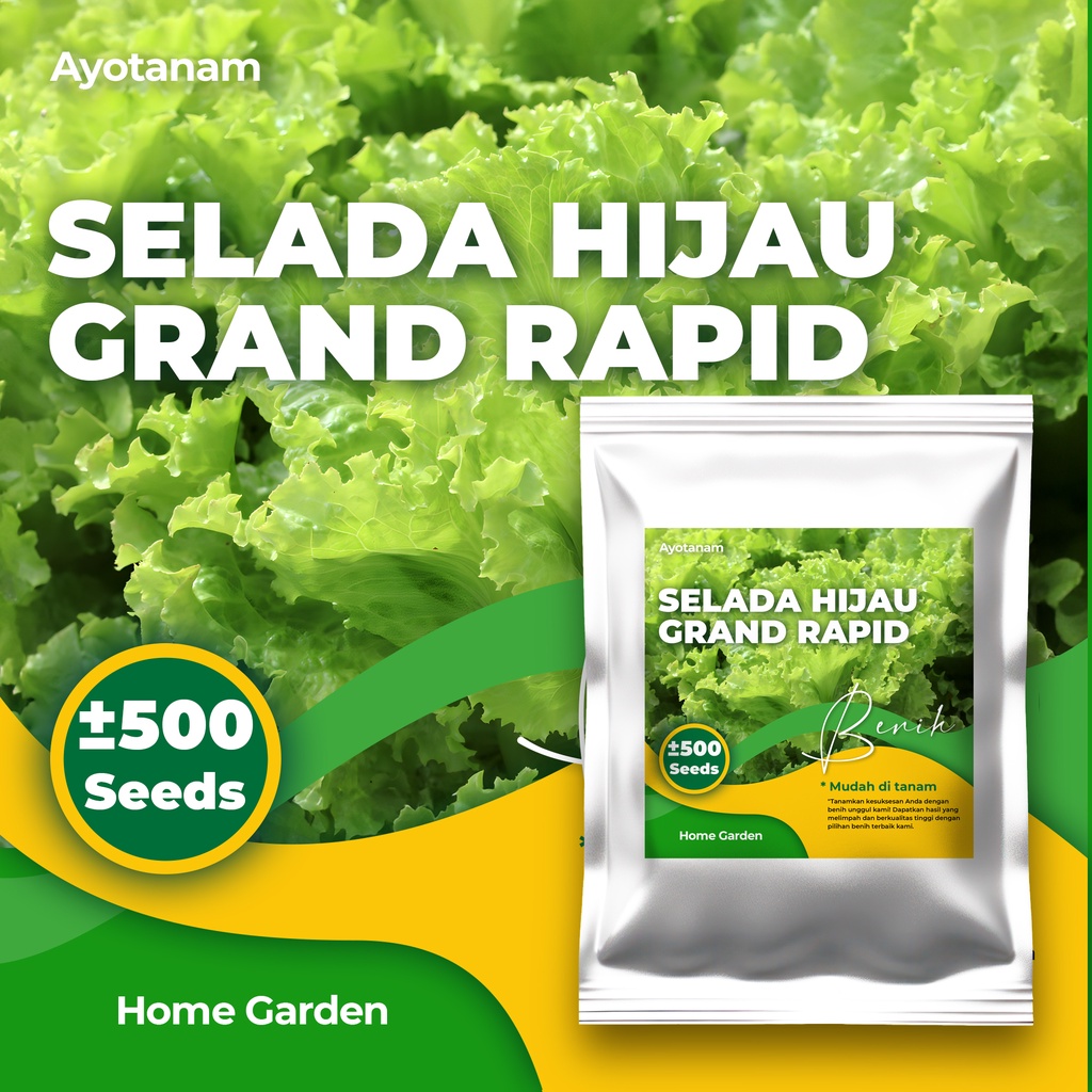 AYOTANAM Benih Selada Hijau Grand Rapid isi ± 500 Benih