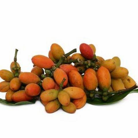 

buah tangkil melinjo 500 gram