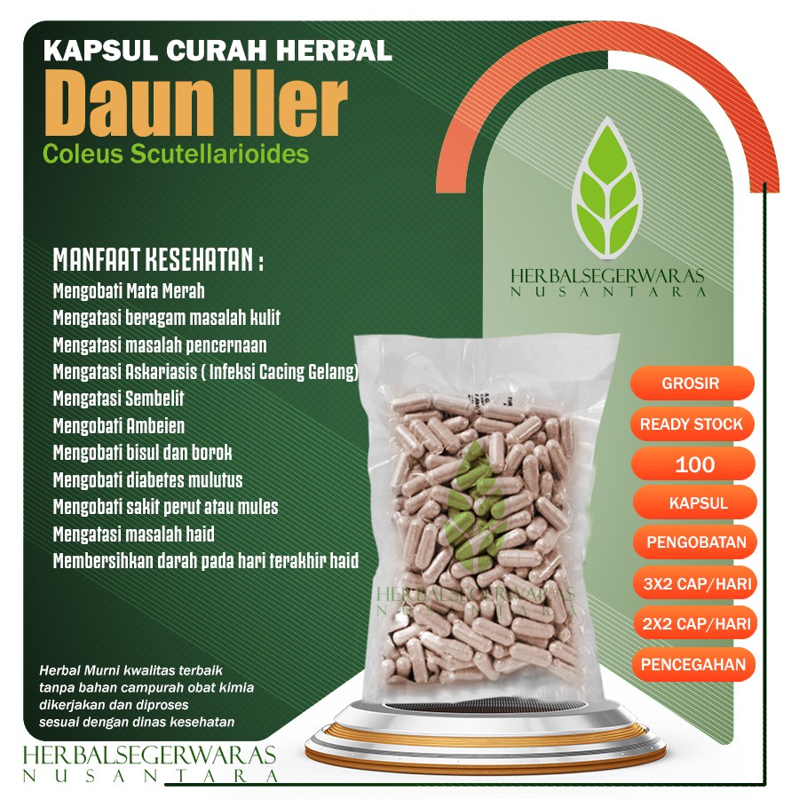 

DAUN ILER 100 Kapsul Curah Herbal Mata Merah Sembelit Radang Telinga