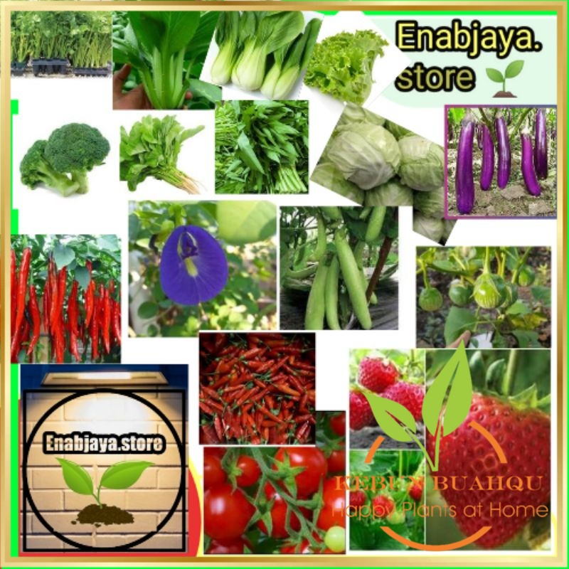 Benih Bibit Sayuran dan Buah repack Seribuan kualitas unggul Toko Kebun Buah Qu