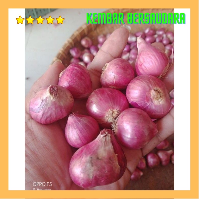 

bawang merah brebes pilihan besar dan kering 500gr