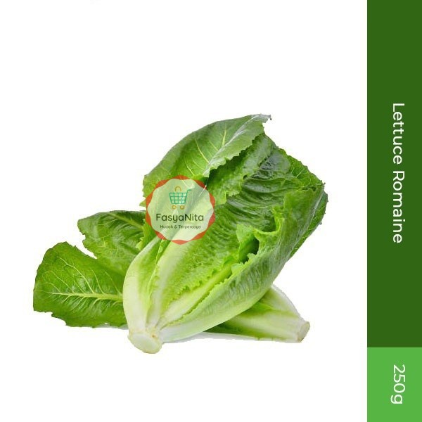 

Lettuce Romaine 250gr - FasyAnita Mart Denpasar