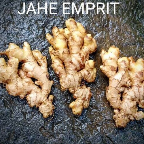 

New Produk JAHE EMPRIT SEGAR SUDAH DICUCI BERSIH BERAT 1 KG