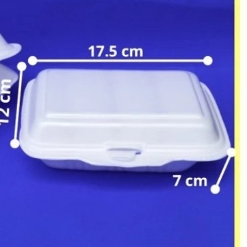 steorofoam/styrofoam/kotak nasi isi 100pcs