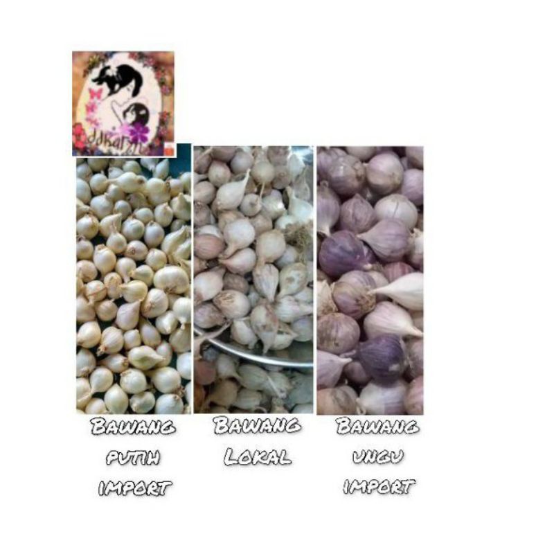 

Birdiemitrendy 100gr Bawang Lanang|Bawang putih tunggal