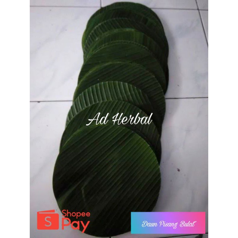 Daun Pisang Bulat Lingkar 20 Cm