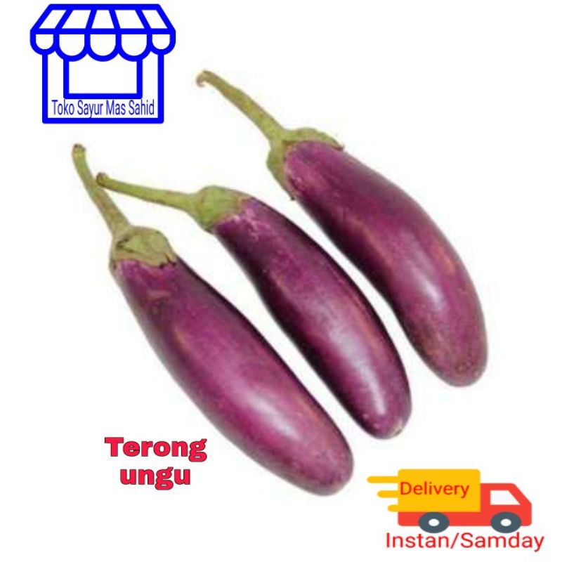 

INSTAN Terong ungu murah 250 gram