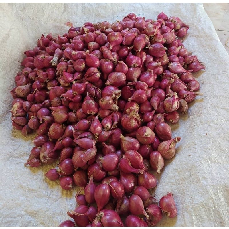 

Bawang Merah Super 250gram HELDA BUMBU FRESH