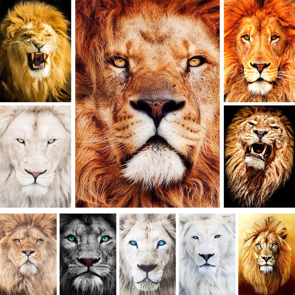 

Animal Lion Printed Canvas Cross Stitch Embroidery Full Kit DMC Threads Handiwork Needlework Craft Painting Sales Mulina Magic