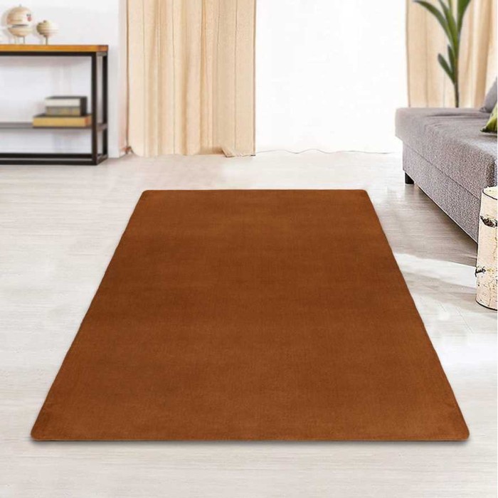 

TRFF Karpet Matras Bulu Velvet Non-Slip Living Room Carpet BNY-1