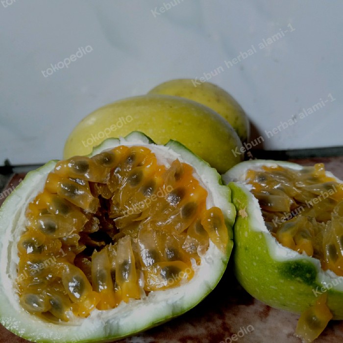 

buah markisa organik 1kg