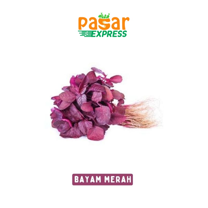 

Daun Bayam Merah Per Ikat / Produk Langka