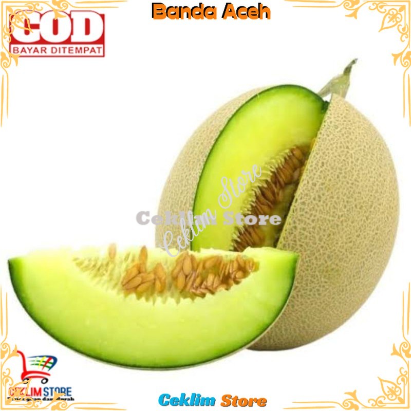 

Buah Melon Hijau dan Merah / Sky Rocket / Rock Melon