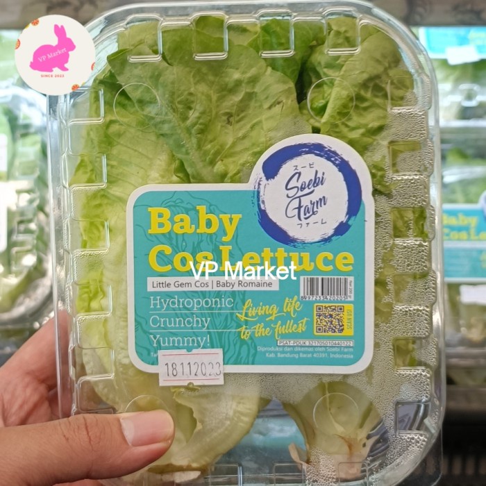 

Soebi Farm Baby Cos Lettuce 200g | Baby Romaine | Pack