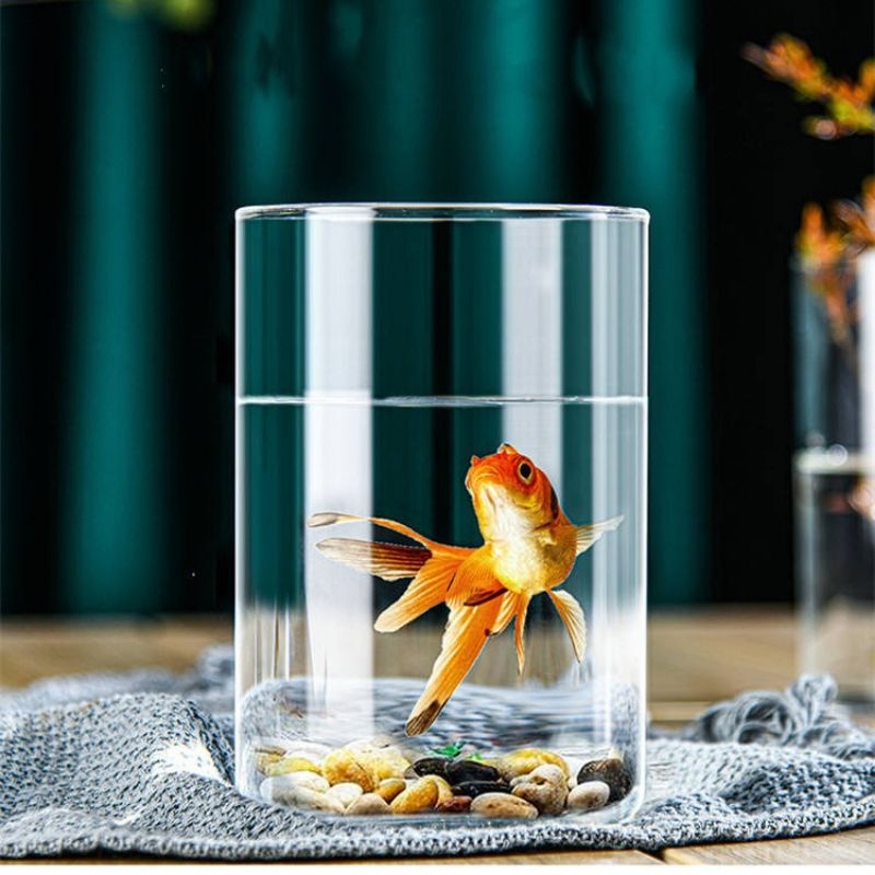 AQUARIUM MINI KACA TABUNG MINIMALIS / AKUARIUM IKAN HIAS KECIL GUPPY CUPANG / AQUASCAPE