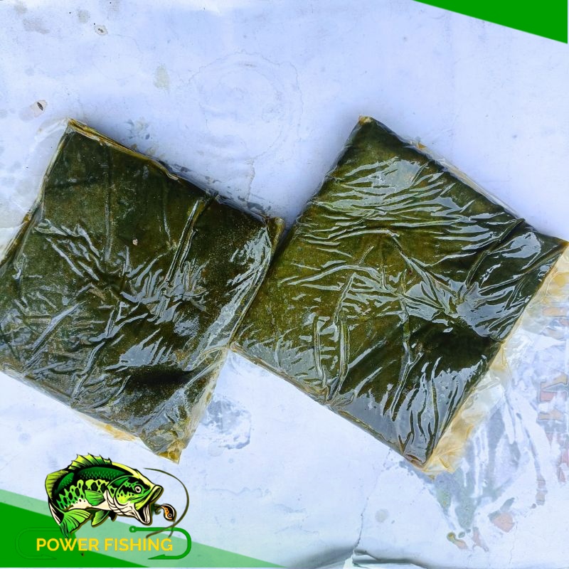 Lapindo - Umpan pancing Galatama lele paling gacor - Umpan Lele