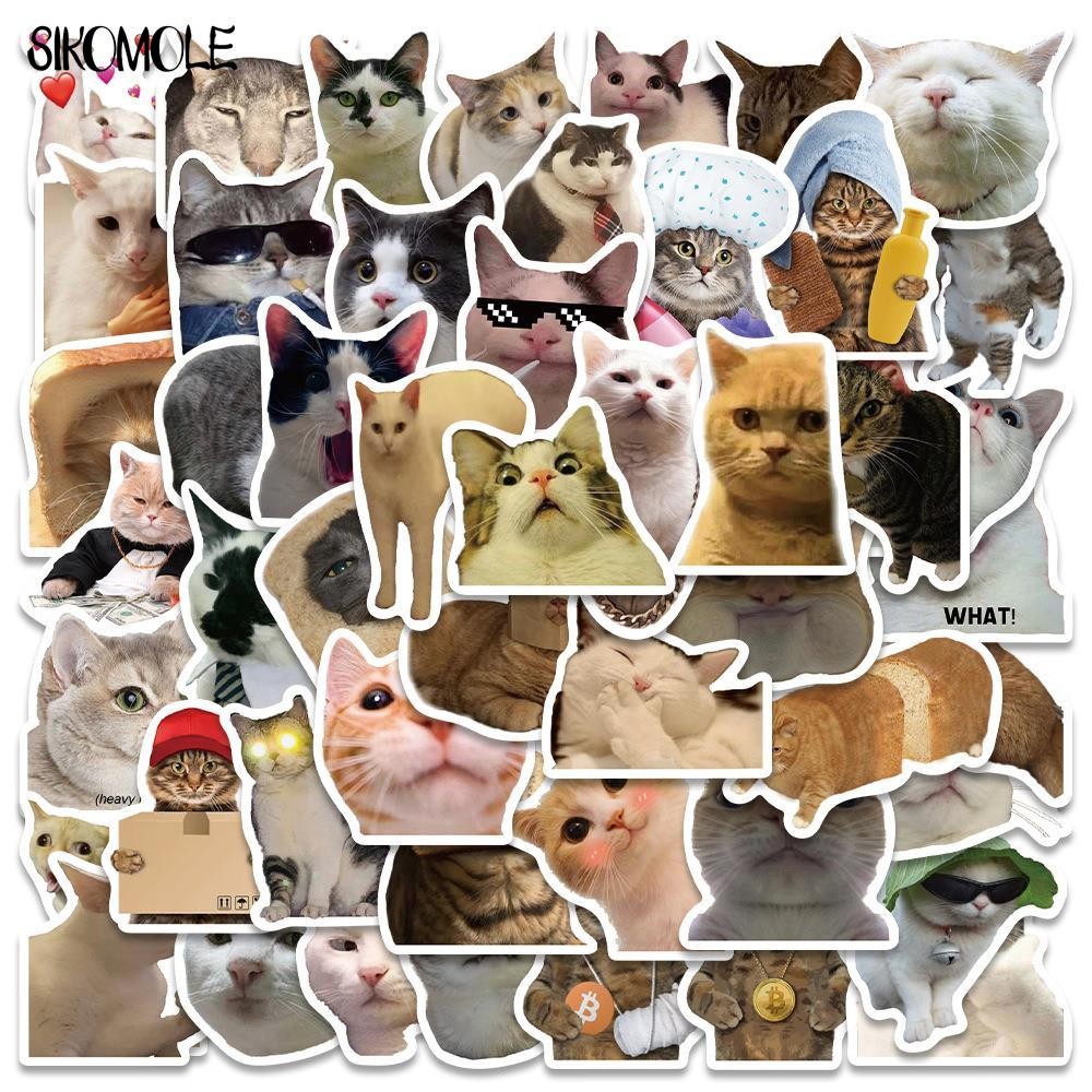 

10/30/50pcs Cat MEME Funny Animals Graffiti Stickers Vintage Toy DIY Kids Phone Luggage Motorcycle Laptop Suitcase Decal Sticker