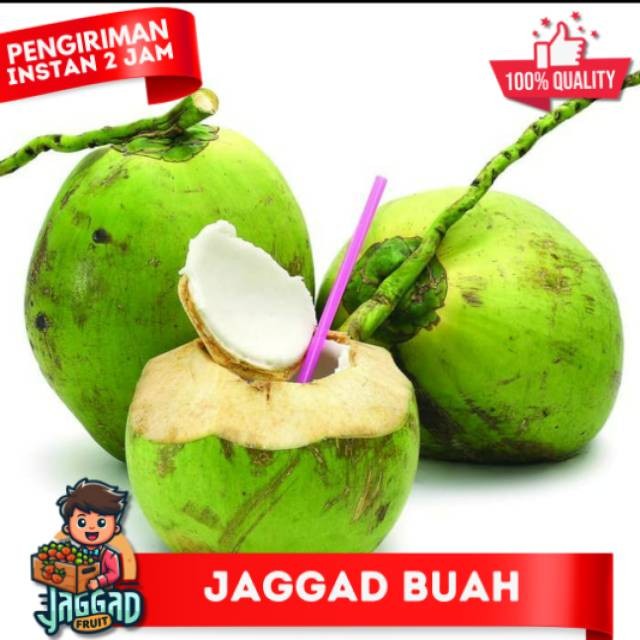 

KELAPA MUDA / DEGAN JAGGAD FRUIT