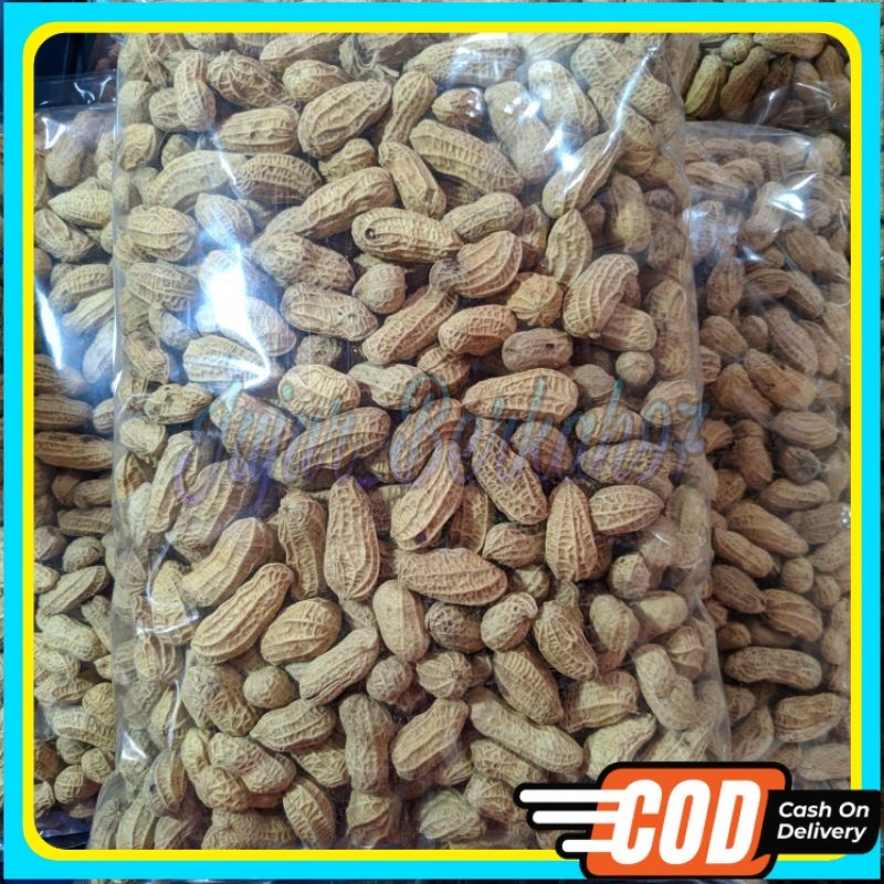 

KACANG KULIT SANGRAI 1KG/KACANG BAKAR 1KG/ KACANG RENYAH/ KACANG MURAH/KACANG KILOAN/AGEN SNACK