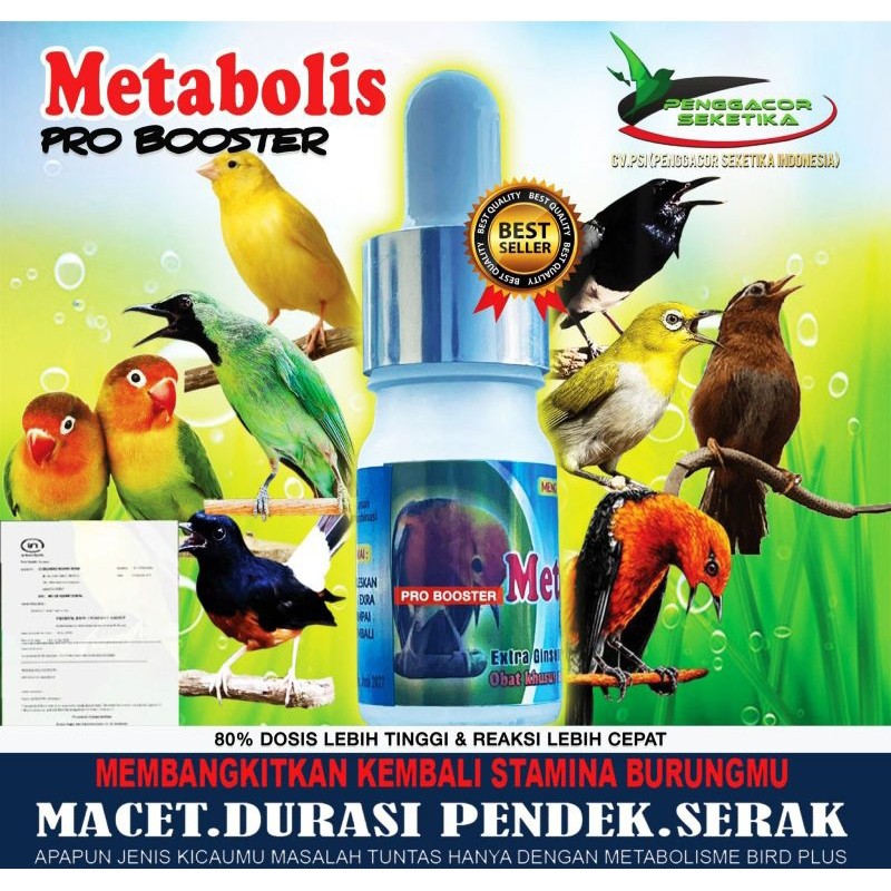 METABOLISME 3 mlPENGGACOR SEKETIKA burung juara/muraibatu/kacer/cucak ijo/vitamin lomba