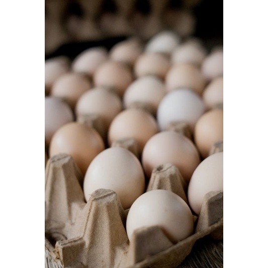 

paket telur kampung omega 30 butir RTTK