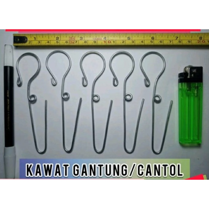 Cantolan Kawat Gantung Pakis Pinus, Pakis Papan Anggrek