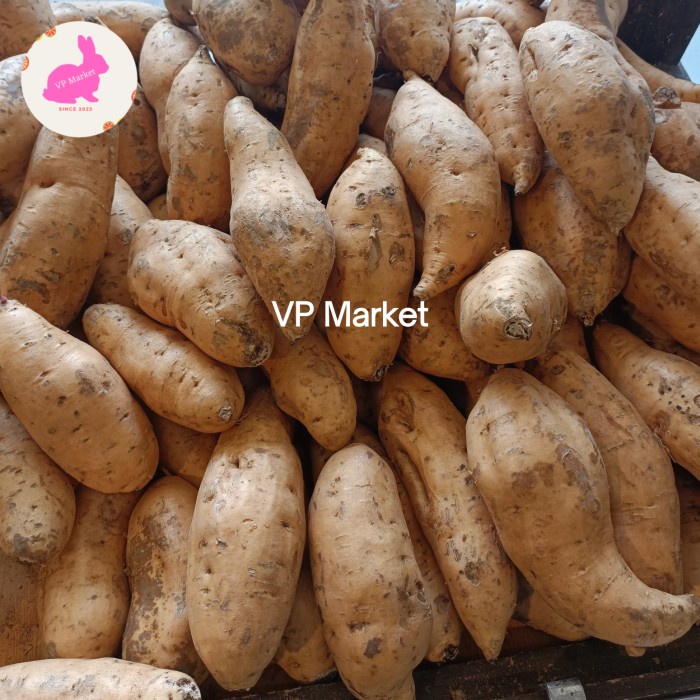 

Ubi Cilembu Mentah Fresh 1kg