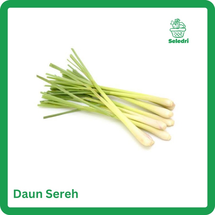 

Daun Sereh Segar