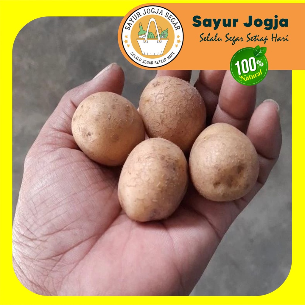 

KENTANG KECIL / kentang Somay [per 1 kg] - Sayur Jogja