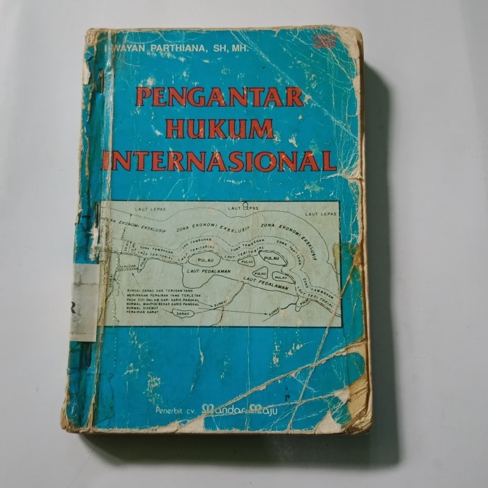 PENGANTAR HUKUM INTERNASIONAL - I WAYAN PARTHIANA Original