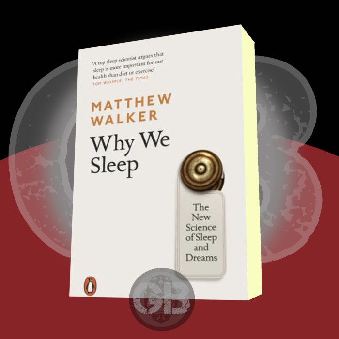 Buku Why We Sleep Matthew Walker