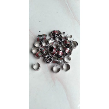 ring merpati ketok belah untuk dewasa