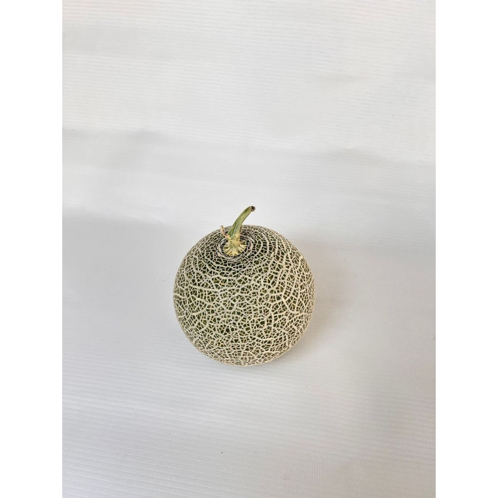 

Melon Fujisawa 500 - 600 gr Per Buah