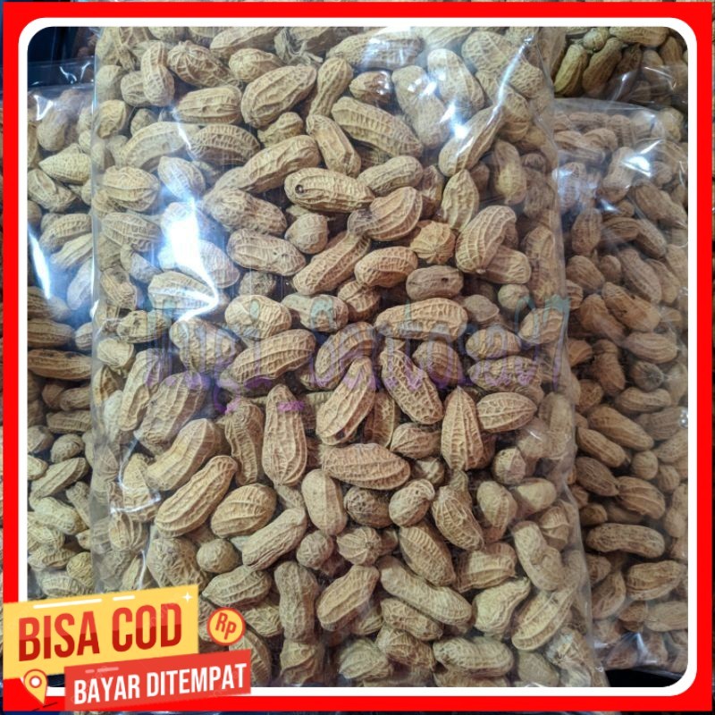 

KACANG KULIT SANGRAI 1KG/KACANG BAKAR 1KG/ KACANG RENYAH/ KACANG MURAH/KACANG KILOAN/AGEN SNACK