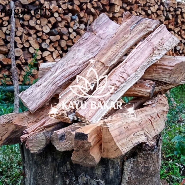 

Kayu bakar apel - Apple fire wood laris